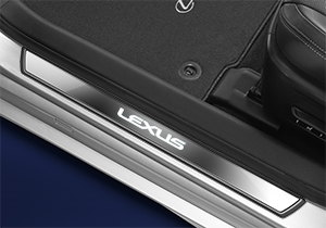         Rodapés Embaladeiras Iluminados   