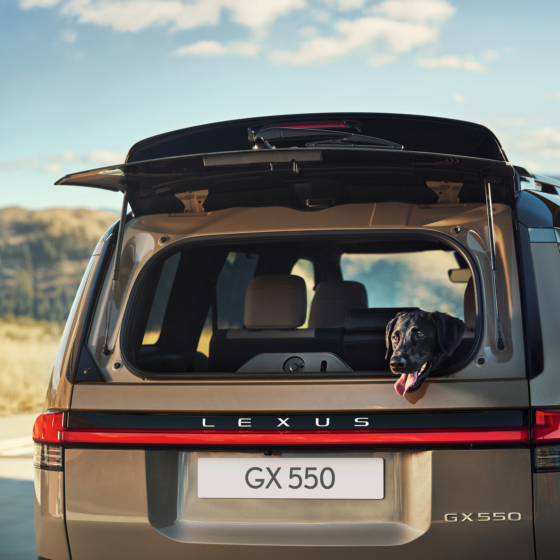 Բեռնախցիկի դռան բացվող ապակե լյուկ 0