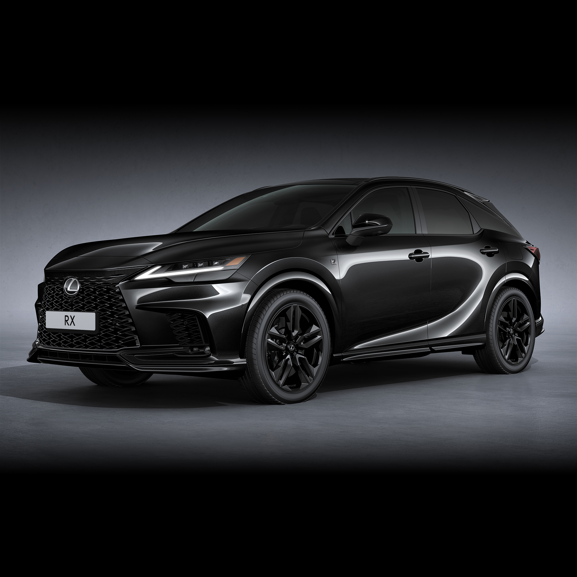 Սև արտաքին ոճավորման փաթեթ 0